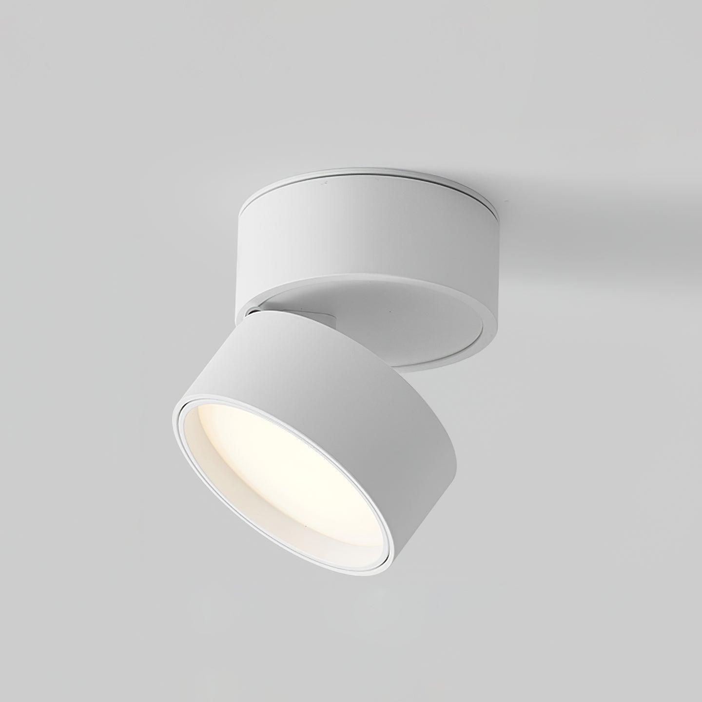 Adjustable LED Spot in Modern Minimalist Scandinavian Design